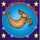 capricorn horoscope  daily overview